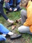 teambuilding met natuurbeleving