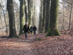 wandeling 30 jan 11