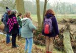 Filosofische wandeling in het beekdal