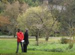wandelcoach training mét natuurbeleving